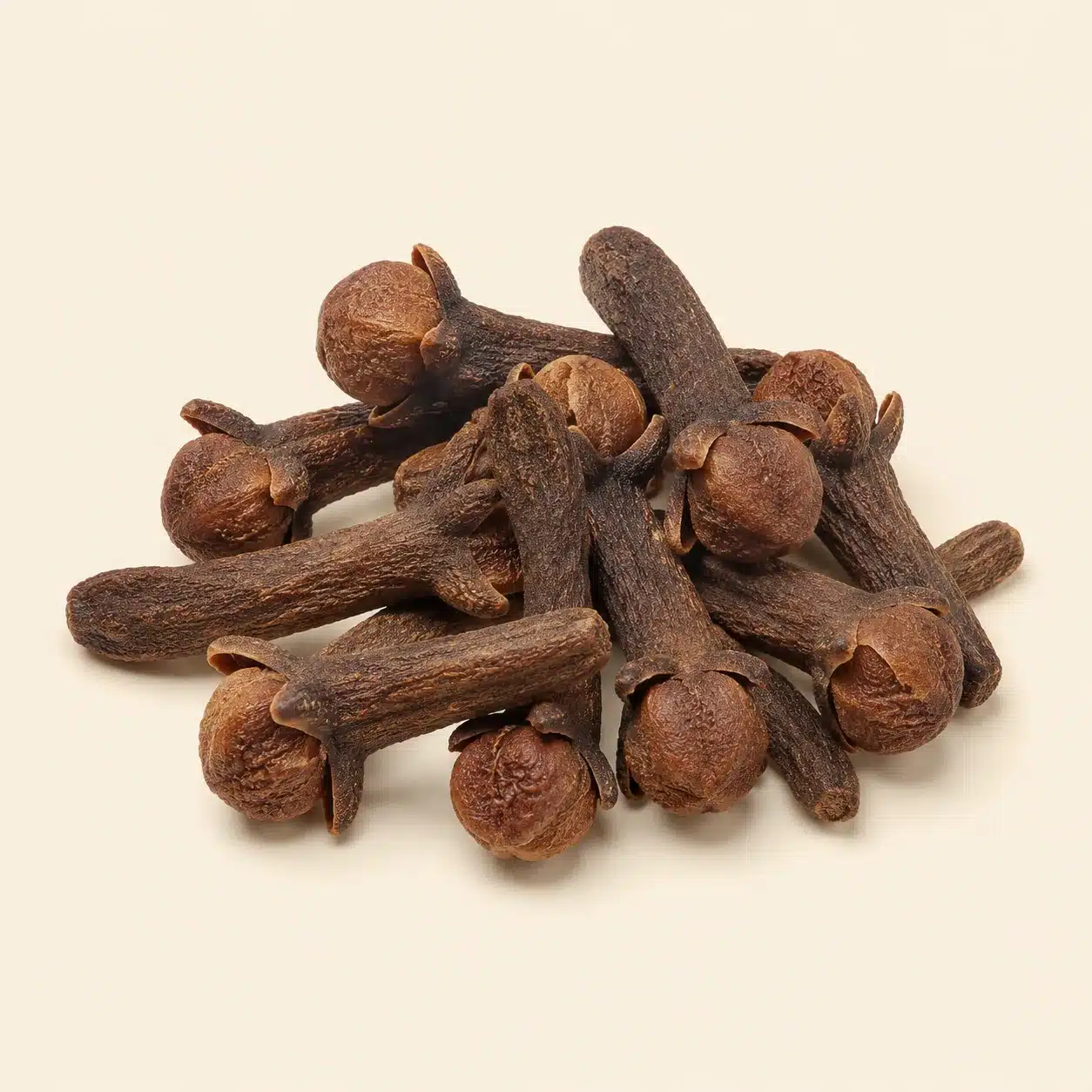 Illustration of clove: flower buds and stalks
