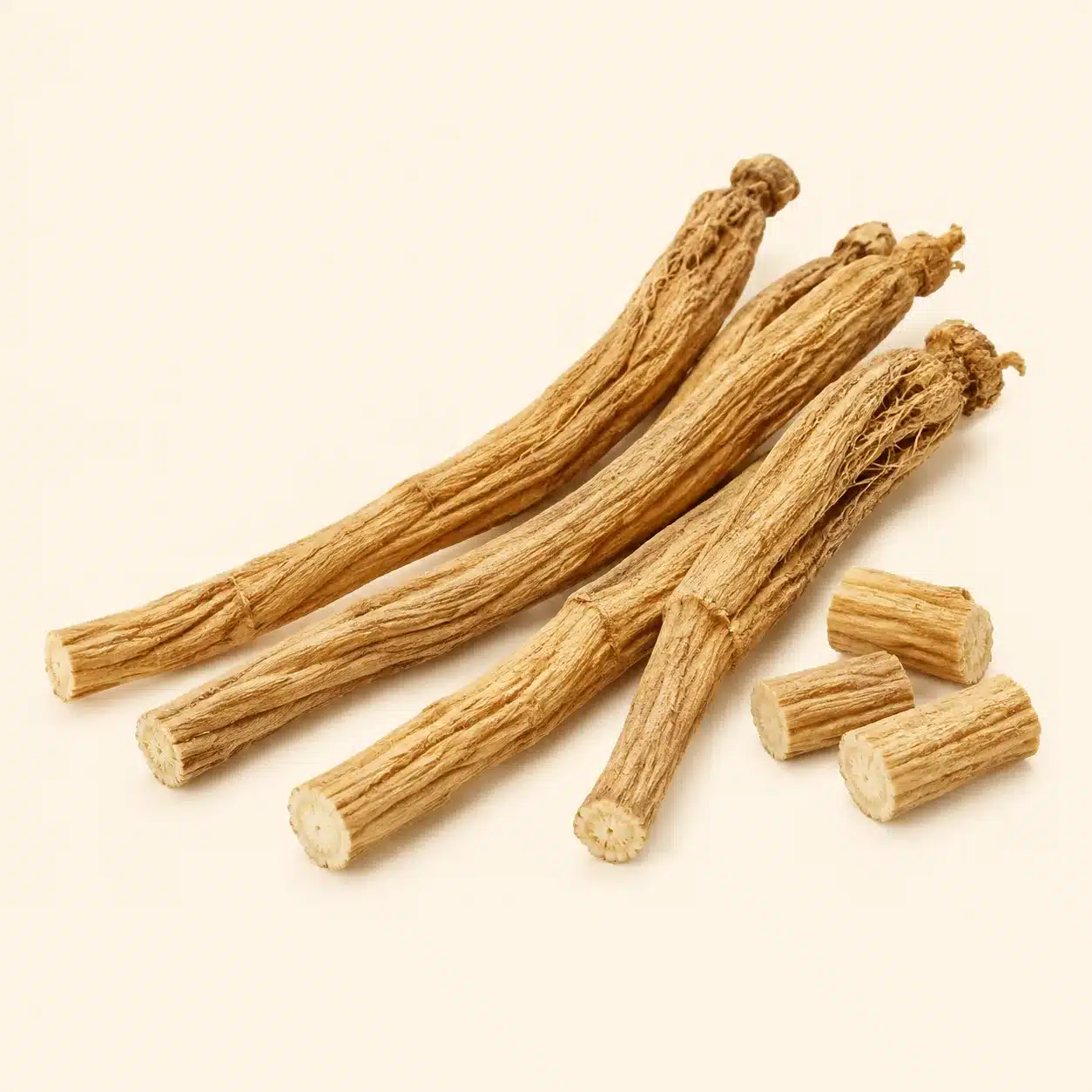 Illustration of dang shen: root