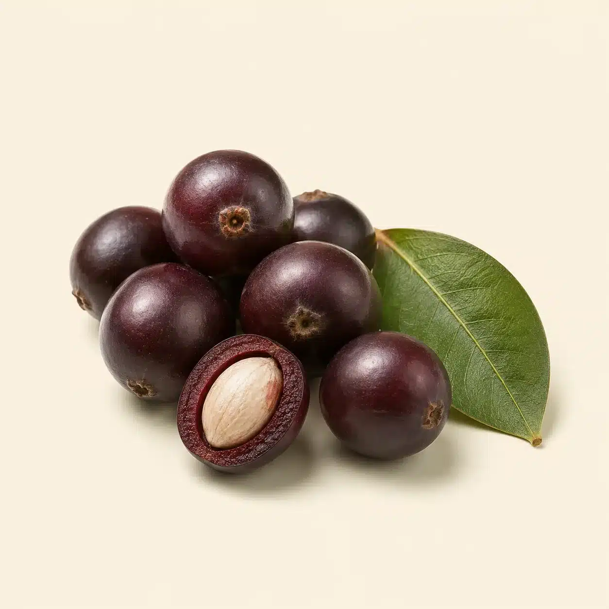 Illustration of makiang: fruit and seed